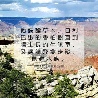 Picture 07 - 列 王 紀 上 4:33 CUVT - 他 講 論 草 木 ， 自 利 巴 嫩 的 香 - Bible Verse Picture