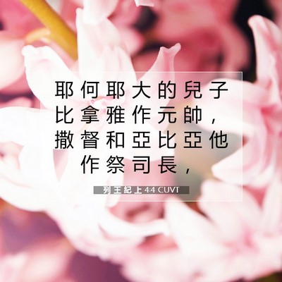 Picture 07 - 列 王 紀 上 4:4 CUVT - 耶 何 耶 大 的 兒 子 比 拿 雅 作 元 - Bible Verse Picture