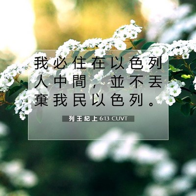 Picture 07 - 列 王 紀 上 6:13 CUVT - 我 必 住 在 以 色 列 人 中 間 ， 並 - Bible Verse Picture