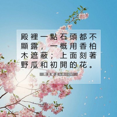 Picture 07 - 列 王 紀 上 6:18 CUVT - 殿 裡 一 點 石 頭 都 不 顯 露 ， 一 - Bible Verse Picture