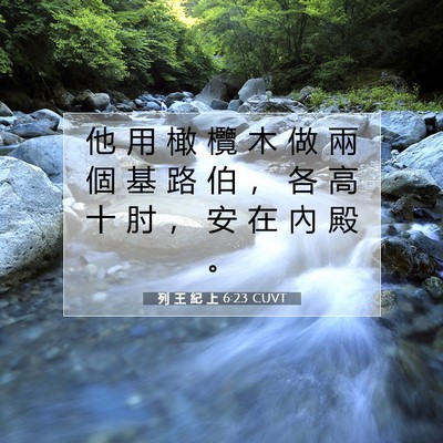 Picture 07 - 列 王 紀 上 6:23 CUVT - 他 用 橄 欖 木 做 兩 個 基 路 伯 ， - Bible Verse Picture