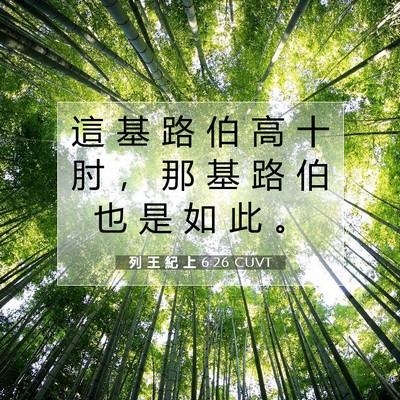 Picture 07 - 列 王 紀 上 6:26 CUVT - 這 基 路 伯 高 十 肘 ， 那 基 路 伯 - Bible Verse Picture