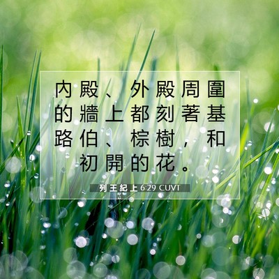 Picture 07 - 列 王 紀 上 6:29 CUVT - 內 殿 、 外 殿 周 圍 的 牆 上 都 刻 - Bible Verse Picture