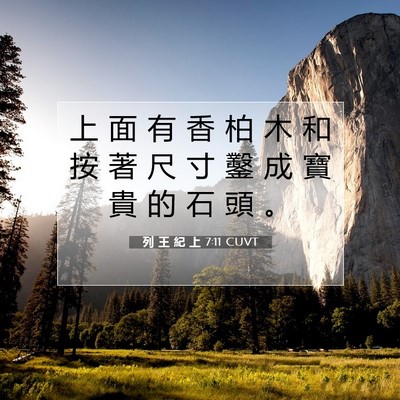 Picture 07 - 列 王 紀 上 7:11 CUVT - 上 面 有 香 柏 木 和 按 著 尺 寸 鑿 - Bible Verse Picture