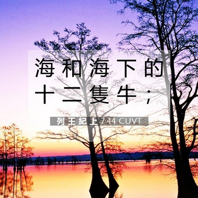 Picture 07 - 列 王 紀 上 7:44 CUVT - 海 和 海 下 的 十 二 隻 牛 - Bible Verse Picture