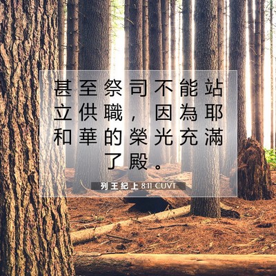 Picture 07 - 列 王 紀 上 8:11 CUVT - 甚 至 祭 司 不 能 站 立 供 職 ， 因 - Bible Verse Picture