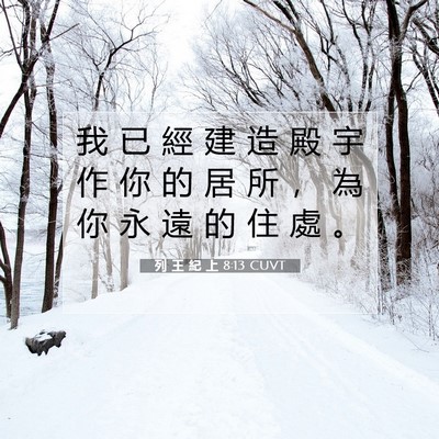 Picture 07 - 列 王 紀 上 8:13 CUVT - 我 已 經 建 造 殿 宇 作 你 的 居 所 - Bible Verse Picture