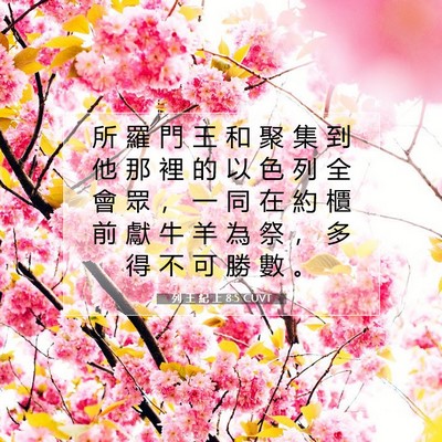 Picture 07 - 列 王 紀 上 8:5 CUVT - 所 羅 門 王 和 聚 集 到 他 那 裡 的 - Bible Verse Picture
