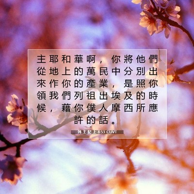 Picture 07 - 列 王 紀 上 8:53 CUVT - 主 耶 和 華 啊 ， 你 將 他 們 從 地 - Bible Verse Picture