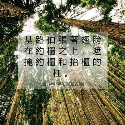 Picture 07 - 列 王 紀 上 8:7 CUVT - 基 路 伯 張 著 翅 膀 在 約 櫃 之 上 - Bible Verse Picture