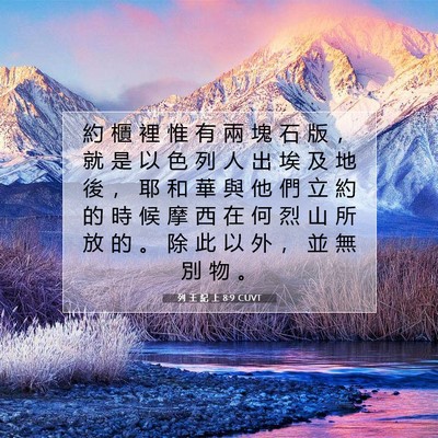 Picture 07 - 列 王 紀 上 8:9 CUVT - 約 櫃 裡 惟 有 兩 塊 石 版 ， 就 是 - Bible Verse Picture