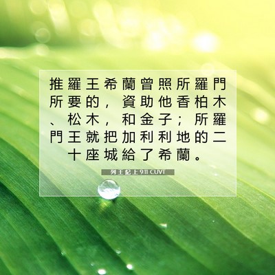 Picture 07 - 列 王 紀 上 9:11 CUVT - 推 羅 王 希 蘭 曾 照 所 羅 門 所 要 - Bible Verse Picture