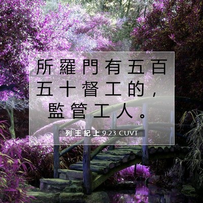 Picture 07 - 列 王 紀 上 9:23 CUVT - 所 羅 門 有 五 百 五 十 督 工 的 ， - Bible Verse Picture