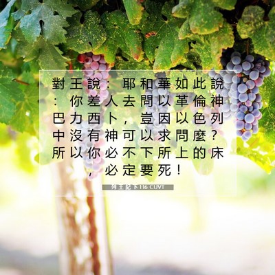 Picture 07 - 列 王 紀 下 1:16 CUVT - 對 王 說 ： 耶 和 華 如 此 說 ： 你 - Bible Verse Picture