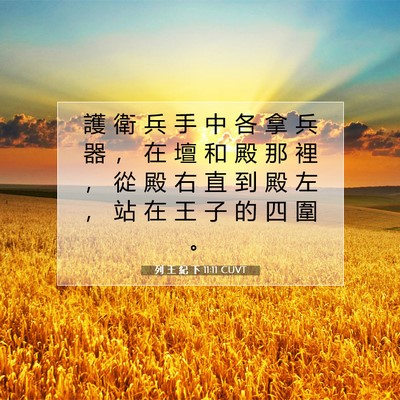 Picture 07 - 列 王 紀 下 11:11 CUVT - 護 衛 兵 手 中 各 拿 兵 器 ， 在 壇 - Bible Verse Picture