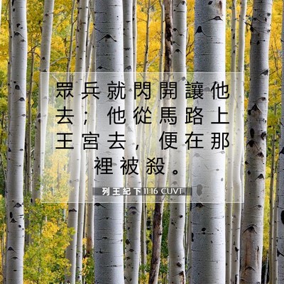 Picture 07 - 列 王 紀 下 11:16 CUVT - 眾 兵 就 閃 開 讓 他 去 ； 他 從 馬 - Bible Verse Picture
