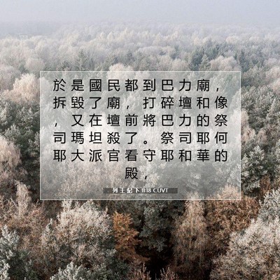 Picture 07 - 列 王 紀 下 11:18 CUVT - 於 是 國 民 都 到 巴 力 廟 ， 拆 毀 - Bible Verse Picture