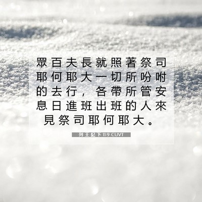 Picture 07 - 列 王 紀 下 11:9 CUVT - 眾 百 夫 長 就 照 著 祭 司 耶 何 耶 - Bible Verse Picture