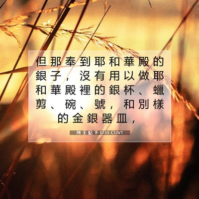 Picture 07 - 列 王 紀 下 12:13 CUVT - 但 那 奉 到 耶 和 華 殿 的 銀 子 ， - Bible Verse Picture