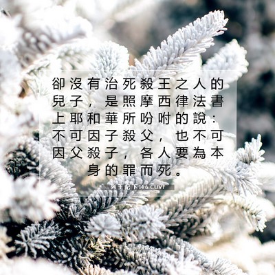 Picture 07 - 列 王 紀 下 14:6 CUVT - 卻 沒 有 治 死 殺 王 之 人 的 兒 子 - Bible Verse Picture