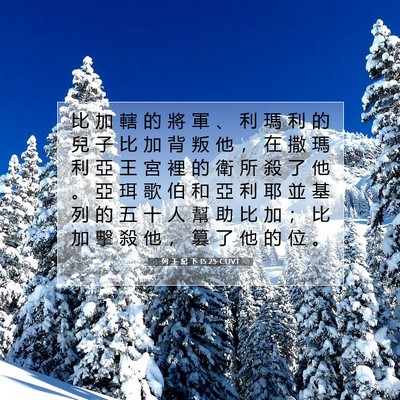 Picture 07 - 列 王 紀 下 15:25 CUVT - 比 加 轄 的 將 軍 、 利 瑪 利 的 兒 - Bible Verse Picture