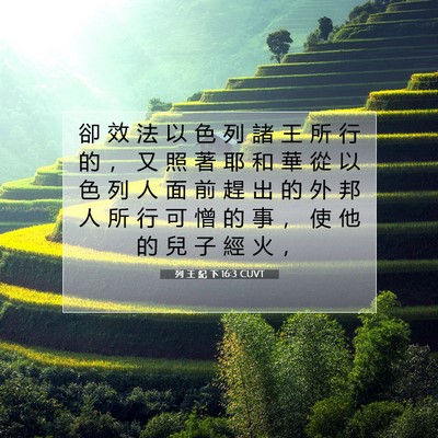 Picture 07 - 列 王 紀 下 16:3 CUVT - 卻 效 法 以 色 列 諸 王 所 行 的 ， - Bible Verse Picture