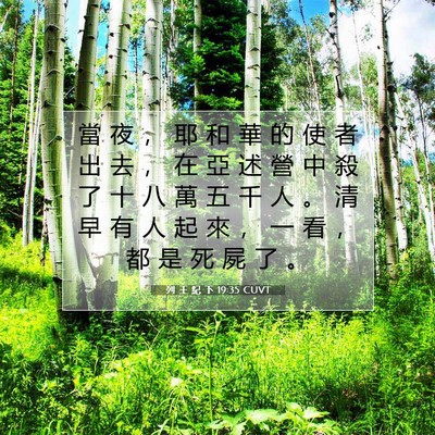 Picture 07 - 列 王 紀 下 19:35 CUVT - 當 夜 ， 耶 和 華 的 使 者 出 去 ， - Bible Verse Picture
