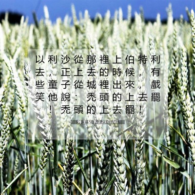 Picture 07 - 列 王 紀 下 2:23 CUVT - 以 利 沙 從 那 裡 上 伯 特 利 去 ， - Bible Verse Picture