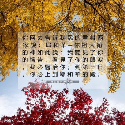 Picture 07 - 列 王 紀 下 20:5 CUVT - 你 回 去 告 訴 我 民 的 君 希 西 家 - Bible Verse Picture