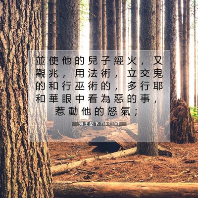 Picture 07 - 列 王 紀 下 21:6 CUVT - 並 使 他 的 兒 子 經 火 ， 又 觀 兆 - Bible Verse Picture