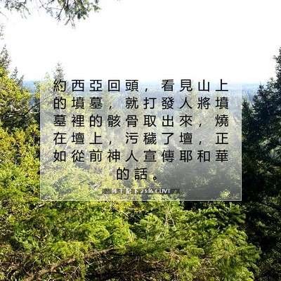 Picture 07 - 列 王 紀 下 23:16 CUVT - 約 西 亞 回 頭 ， 看 見 山 上 的 墳 - Bible Verse Picture