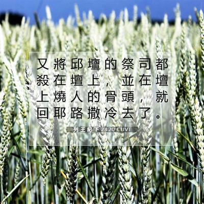 Picture 07 - 列 王 紀 下 23:20 CUVT - 又 將 邱 壇 的 祭 司 都 殺 在 壇 上 - Bible Verse Picture