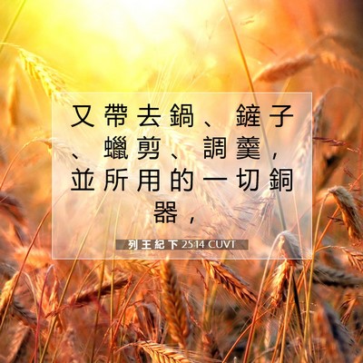 Picture 07 - 列 王 紀 下 25:14 CUVT - 又 帶 去 鍋 、 鏟 子 、 蠟 剪 、 調 - Bible Verse Picture