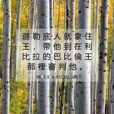 Picture 07 - 列 王 紀 下 25:6 CUVT - 迦 勒 底 人 就 拿 住 王 ， 帶 他 到 - Bible Verse Picture
