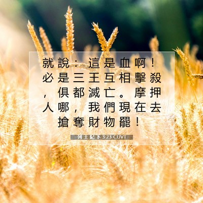 Picture 07 - 列 王 紀 下 3:23 CUVT - 就 說 ： 這 是 血 啊 ！ 必 是 三 王 - Bible Verse Picture