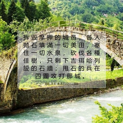 Picture 07 - 列 王 紀 下 3:25 CUVT - 拆 毀 摩 押 的 城 邑 ， 各 人 拋 石 - Bible Verse Picture