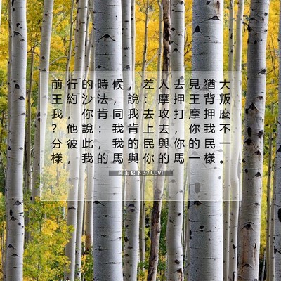 Picture 07 - 列 王 紀 下 3:7 CUVT - 前 行 的 時 候 ， 差 人 去 見 猶 大 - Bible Verse Picture
