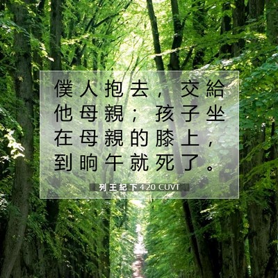 Picture 07 - 列 王 紀 下 4:20 CUVT - 僕 人 抱 去 ， 交 給 他 母 親 ； 孩 - Bible Verse Picture