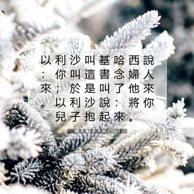 Picture 07 - 列 王 紀 下 4:36 CUVT - 以 利 沙 叫 基 哈 西 說 ： 你 叫 這 - Bible Verse Picture