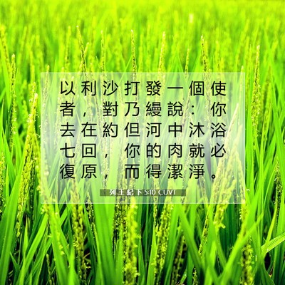 Picture 07 - 列 王 紀 下 5:10 CUVT - 以 利 沙 打 發 一 個 使 者 ， 對 乃 - Bible Verse Picture