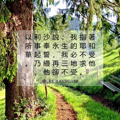 Picture 07 - 列 王 紀 下 5:16 CUVT - 以 利 沙 說 ： 我 指 著 所 事 奉 永 - Bible Verse Picture
