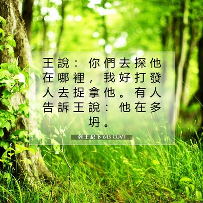 Picture 07 - 列 王 紀 下 6:13 CUVT - 王 說 ： 你 們 去 探 他 在 哪 裡 ， - Bible Verse Picture