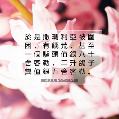 Picture 07 - 列 王 紀 下 6:25 CUVT - 於 是 撒 瑪 利 亞 被 圍 困 ， 有 饑 - Bible Verse Picture