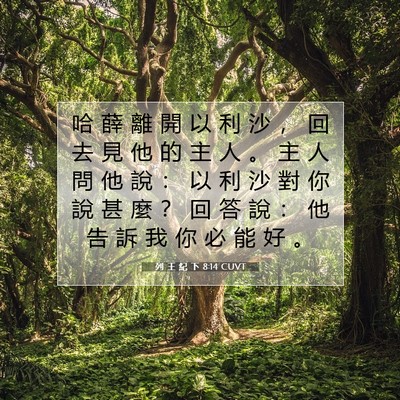 Picture 07 - 列 王 紀 下 8:14 CUVT - 哈 薛 離 開 以 利 沙 ， 回 去 見 他 - Bible Verse Picture