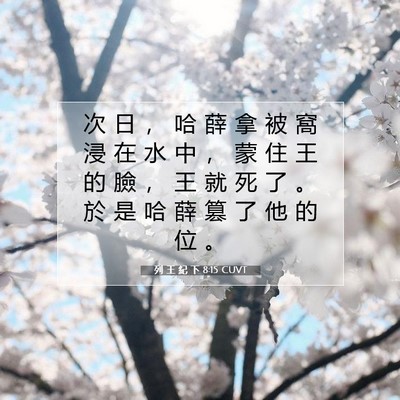 Picture 07 - 列 王 紀 下 8:15 CUVT - 次 日 ， 哈 薛 拿 被 窩 浸 在 水 中 - Bible Verse Picture