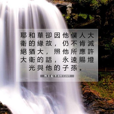 Picture 07 - 列 王 紀 下 8:19 CUVT - 耶 和 華 卻 因 他 僕 人 大 衛 的 緣 - Bible Verse Picture