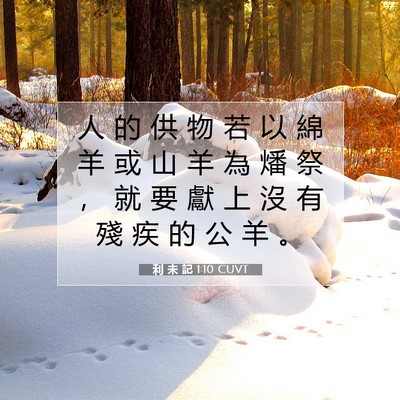 Picture 07 - 利 未 記 1:10 CUVT - 人 的 供 物 若 以 綿 羊 或 山 羊 為 - Bible Verse Picture