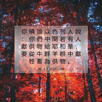 Picture 07 - 利 未 記 1:2 CUVT - 你 曉 諭 以 色 列 人 說 ： 你 們 中 - Bible Verse Picture