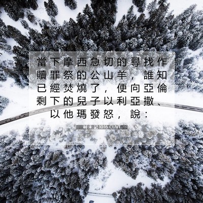 Picture 07 - 利 未 記 10:16 CUVT - 當 下 摩 西 急 切 的 尋 找 作 贖 罪 - Bible Verse Picture