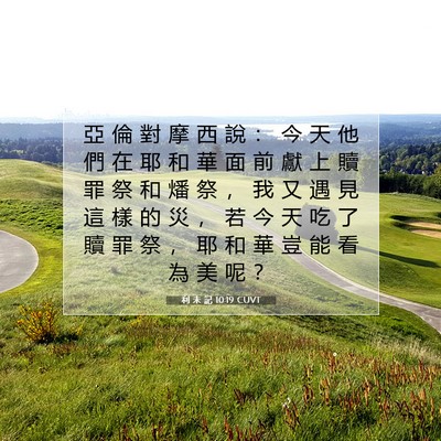 Picture 07 - 利 未 記 10:19 CUVT - 亞 倫 對 摩 西 說 ： 今 天 他 們 在 - Bible Verse Picture